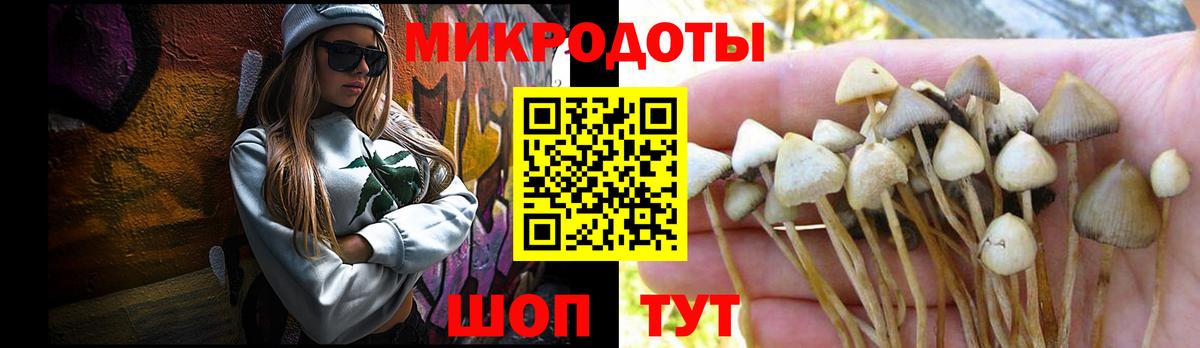Королёв  Псилоцибиновые грибы MAGIC MUSHROOMS  Вход с VPN 
